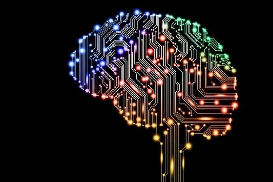 PPT初学者必备:高效学习PPT的秘诀
